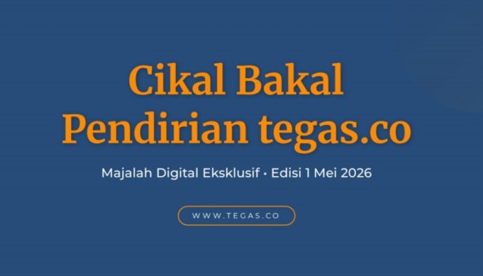Cikal Bakal Pendirian tegas.co