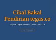 Cikal Bakal Pendirian tegas.co