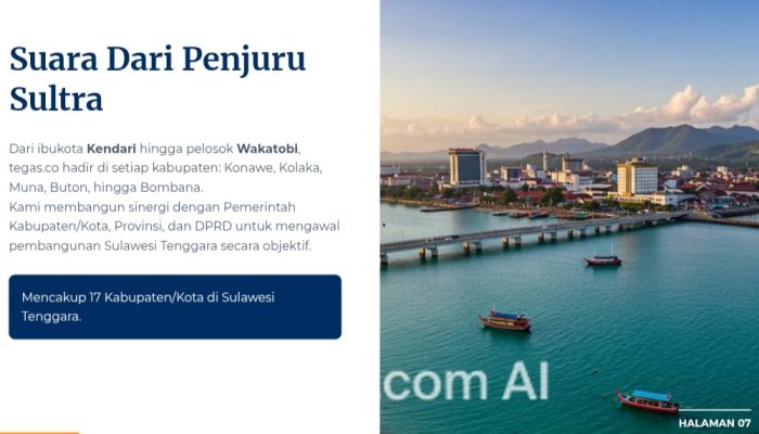 Cikal Bakal Pendirian tegas.co