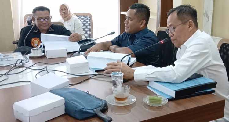 Pemprov Sultra Siapkan Penerimaan CPNS dan PPPK 2027, DPRD Sultra Desak Formasi Disabilitas
