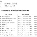 BPK Minta Data RKAB Sepuluh Perusahaan Tambang Salah Satunya PT Vale, Ada Apa?
