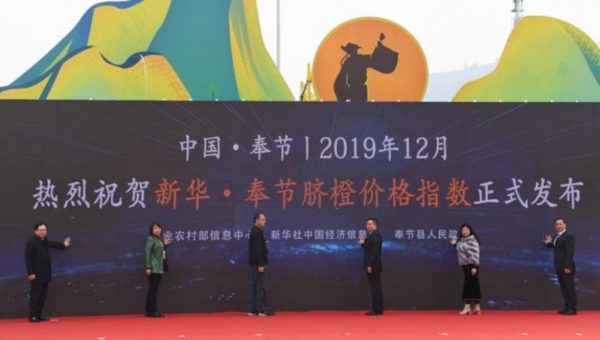Xinhua Silk Road: Indeks Harga Jeruk Navel Xinhua-Fengjie diluncurkan di Chongqing, Tiongkok Barat Daya