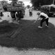 Merajut Asa di Balik Aspal Buton Utara