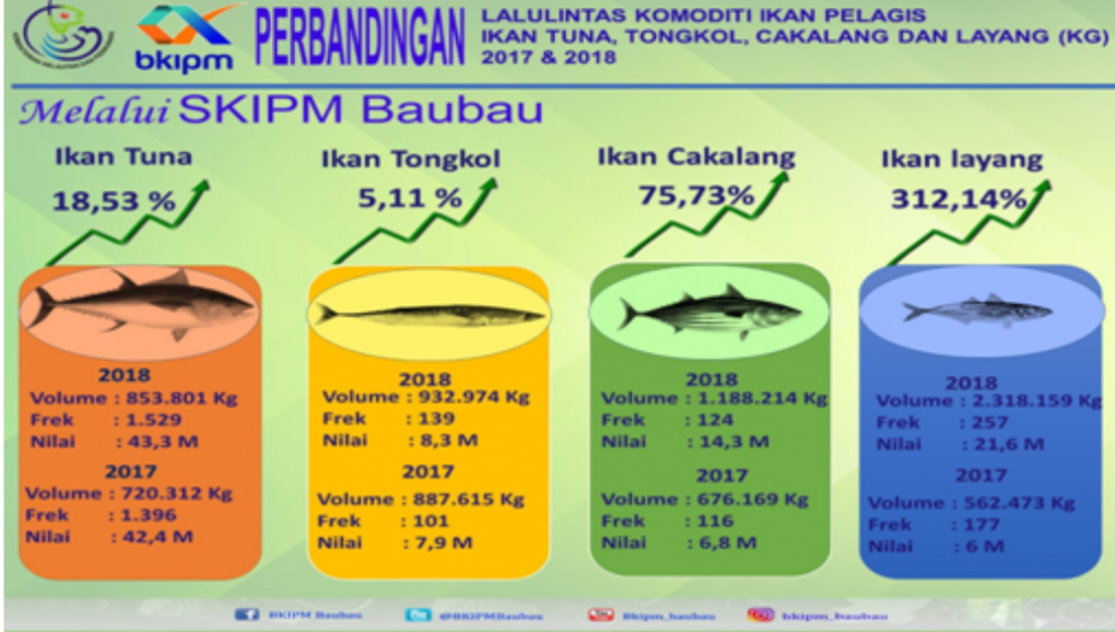 Lalu Lintas Ikan Pelagis Pulau Buton Meningkat Pesat