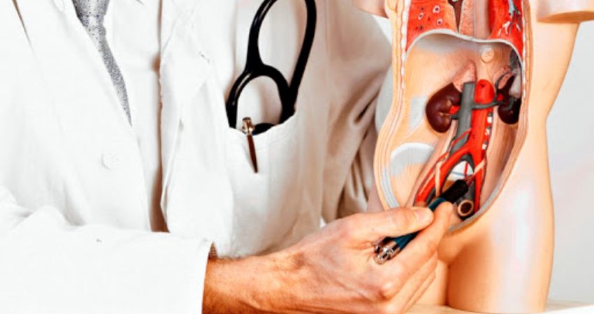 Urologi RSUD Bahteramas untuk Mereka yang Bermasalah Saluran Kencing