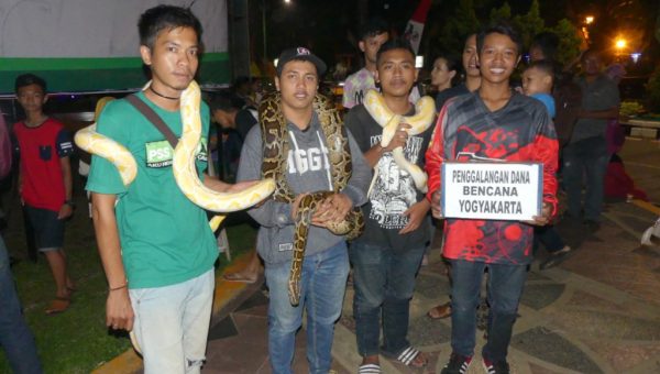 Komunitas Reptil Freestyle Galang Dana Peduli Bencana