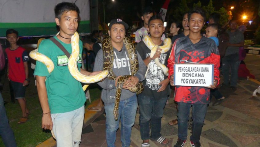 Komunitas Reptil Freestyle Galang Dana Peduli Bencana