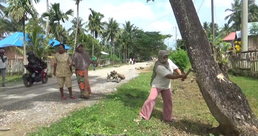 Emak-emak Wakumoro Gotong Royong Blokir Jalan Raha-Lakapera