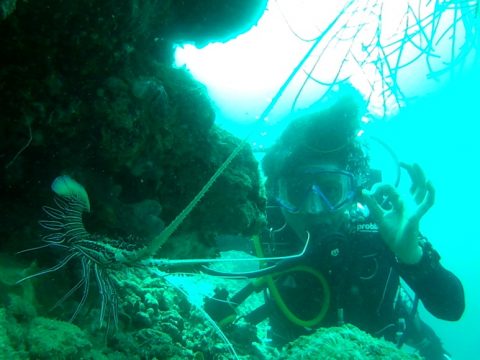 Wisata bawa laut di pulau pelangi. Penyelam akan mendapat lobster saat melakukan snorkling di bawa laut pulau pelangi. FOTO : ASDAR LANTORO