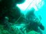 Wisata bawa laut di pulau pelangi. Penyelam akan mendapat lobster saat melakukan snorkling di bawa laut pulau pelangi. FOTO : ASDAR LANTORO