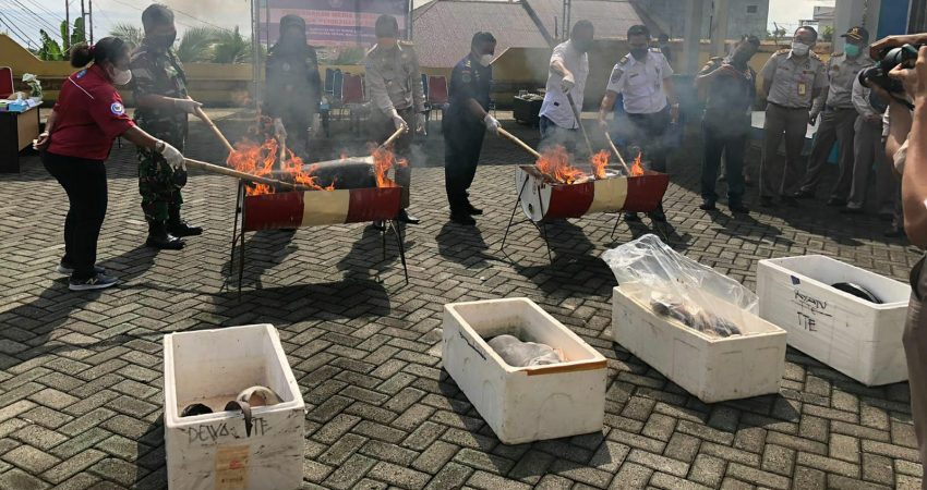 Pemusnahan Media Pembawa Ikan Ilegal