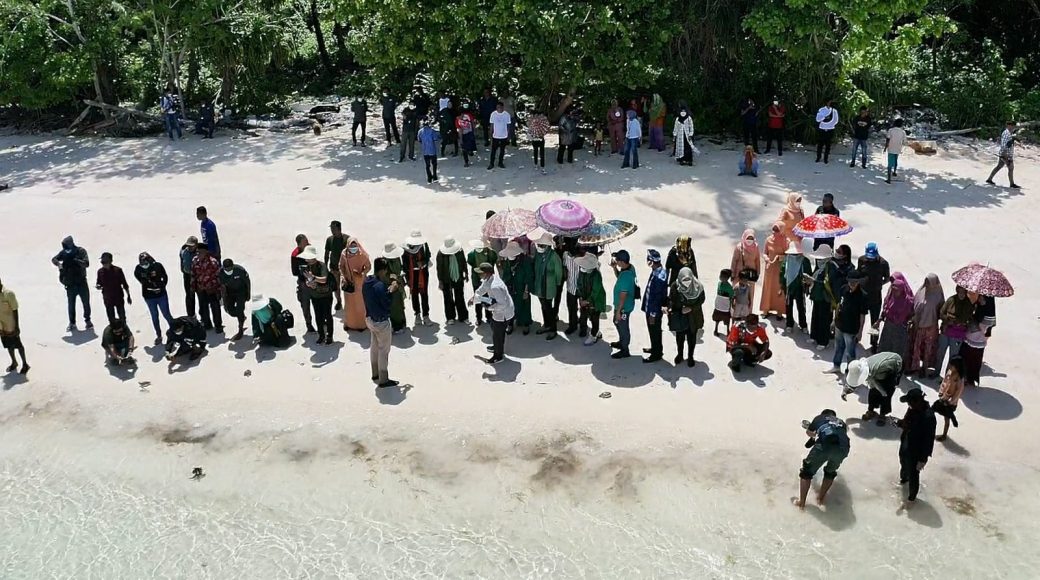 Rangkaian Ladies Program, DWP Ditjen Hubdat Lepas Penyu dan Tanam Pohon di Tomia