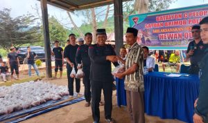 Batalyon C Pelopor Totallang Satbrimob Polda Sultra Kurban 29 Ekor Sapi