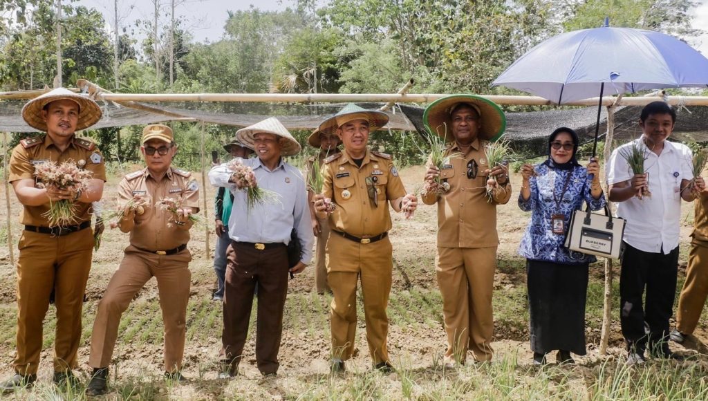 Pemkot Kendari Panen Bawang Merah di Labibia