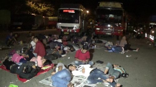 Armada Ferry Berkurang, Penumpang Mudik Lebaran Numpuk di Pelabuhan Kolaka