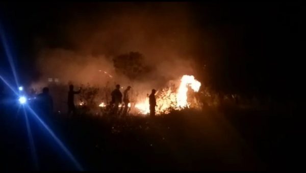﻿5 Hektar Lahan USN Kolaka Terbakar