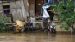 Akibat Hujan, Wandoka dan Bente Banjir
