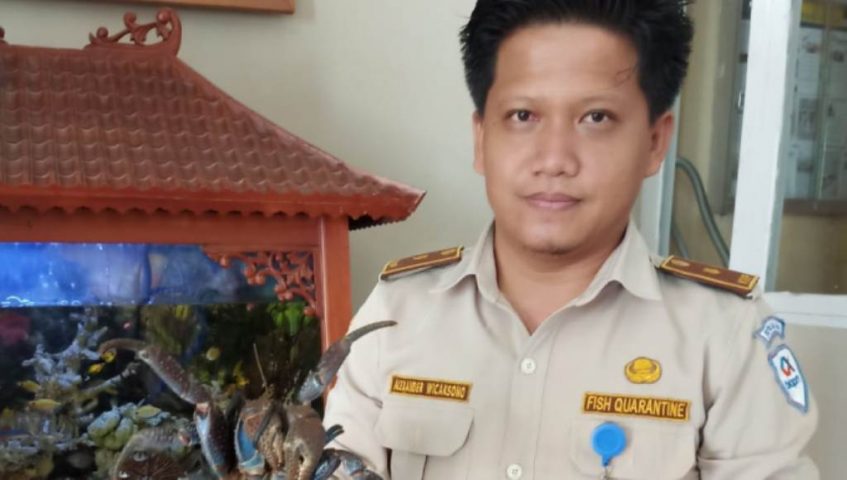 SKIPM Baubau Gagalkan Pengeluaran 17 Ekor Ketam Kenari