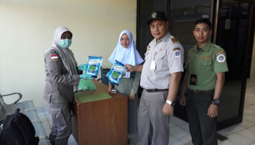 tanpa dokumen petugas karantina sita dua bungkus bibit selediri milik penumpang kapal idomaya. FOTO : MULYA ABDILAH