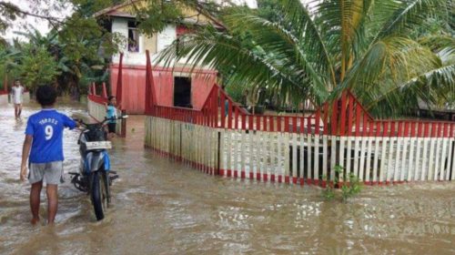 Banjir Rendam Ratusan Rumah Warga Desa Lambale Butur Mengungsi
