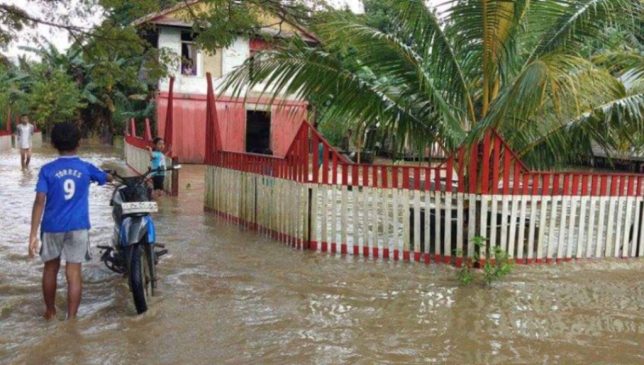 Banjir Rendam Ratusan Rumah Warga Desa Lambale Butur Mengungsi