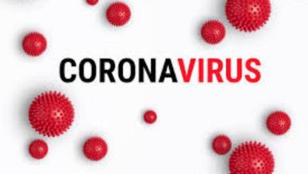Update Kasus Corona di Sultra : 70 Orang Positif, Sembuh 120 Orang, 1 Meninggal