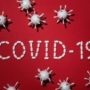 Kasus Sembuh Covid-19 di Sultra Sebanyak 9 orang