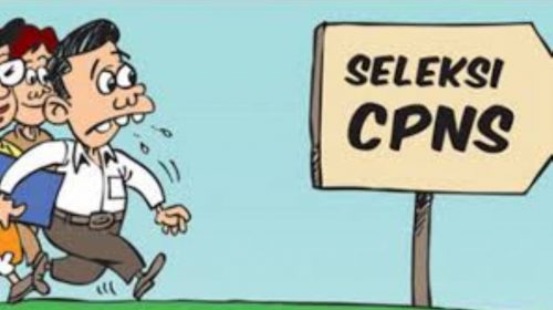 Usulan Kuota CPNSD Wakatobi Sebanyak 540, Tunggu Hasilnya Juni