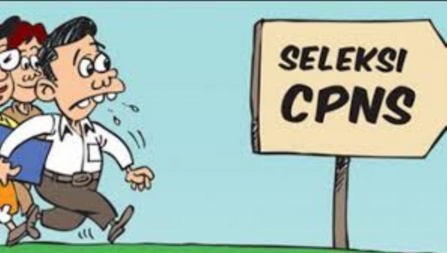 Usulan Kuota CPNSD Wakatobi Sebanyak 540, Tunggu Hasilnya Juni