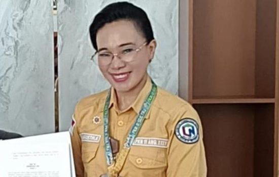 RSJ Bakal Adakan Perawat Jiwa