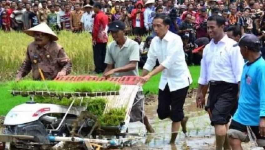 Jokowi Kucurkan Dana Desa Rp. 187 Triliun, Ini Pemanfaatannya di Muna ﻿