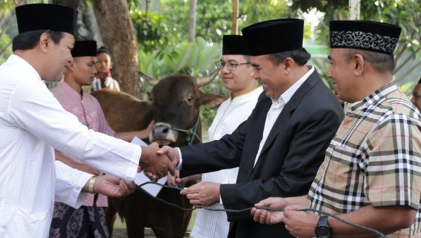 Bupati dan Forkopimda Serahkan Langsung Hewan Kurban