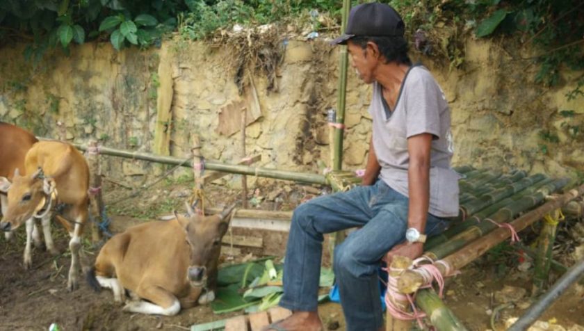 Tukang Parkir di Kendari Kurban Sapi di Idul Adha