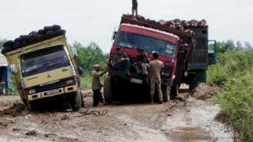 Masyarakat Lasolo Konut Keluhkan Jalan Rusak Akibat Mobil Pengangkut Sawit