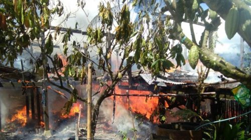 Satu Ton Kakao dan 100 Gram Emas Terbakar di Kolut