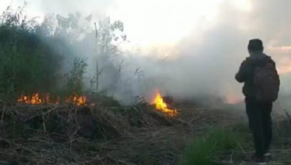 Kebakaran Hutan di Kolaka Timur Meluas hingga 25 Hektare