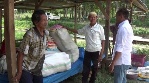 Pedagang: Pengelolaan Pasar Poni-Poniki Koltim Amburadul