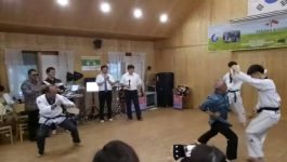 Sekda Pemprov Sultra Robohkan Tiga Pesilat Korea Berikut Videonya