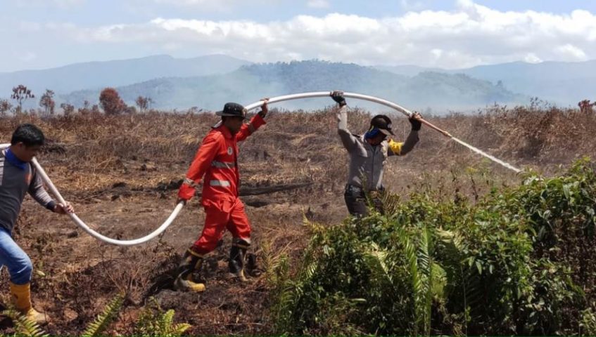 Kebakaran Hutan di Kolaka Timur Makin Meluas