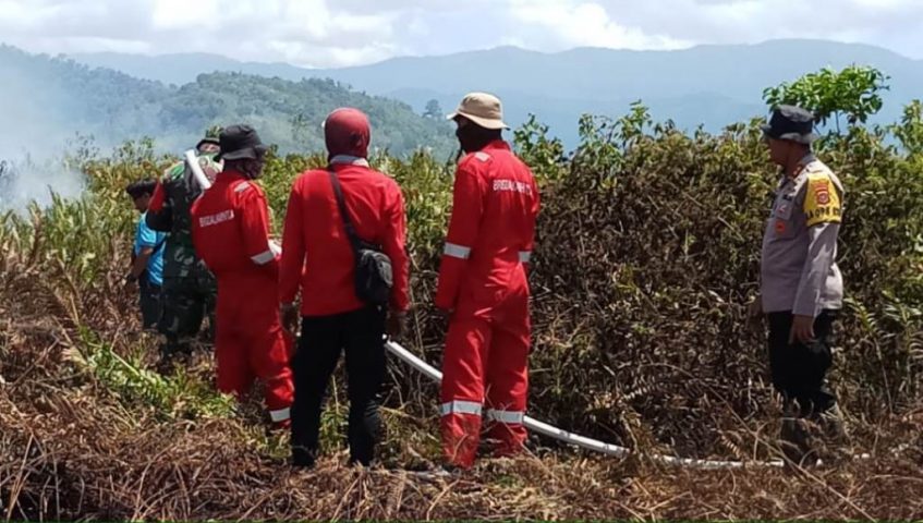 Kebakaran Hutan di Kolaka Timur Makin Meluas