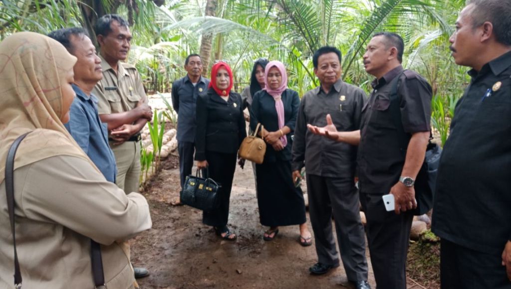 Tertarik Budidaya Kelapa Kopyor Komisi II DPRD Konsel Sambangi Pemda Pati