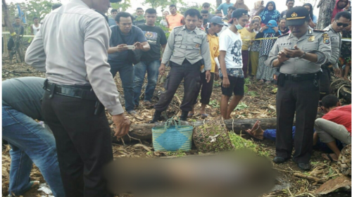 Mayat IRT ditemukan di Kebun Tergelatak