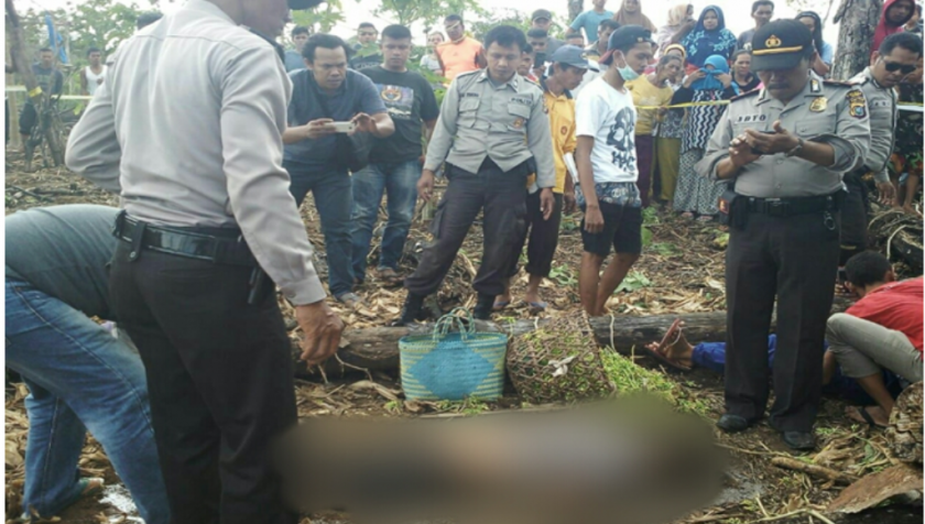Mayat Seorang IRT di Muna ditemukan di Kebun Tergelatak