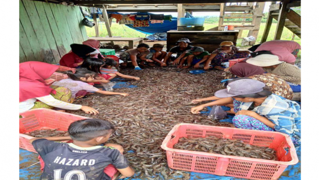 Butur Pecahan Muna Produsen Terbesar Udang, Lokasi Terletak di Tri Wacu-wacu