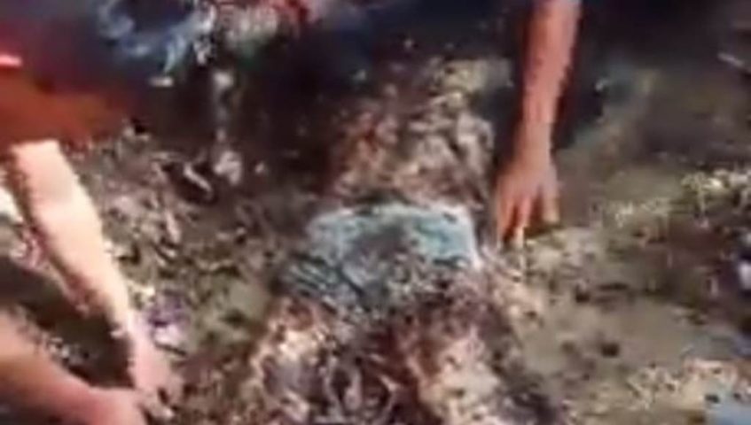 Seorang Nelayan di Kolut Tewas Tertimbun Sampah Laut