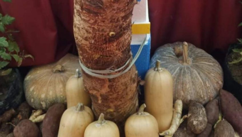 Pameran HPS ke-39 Pamerkan Ragam Komoditas Unggulan