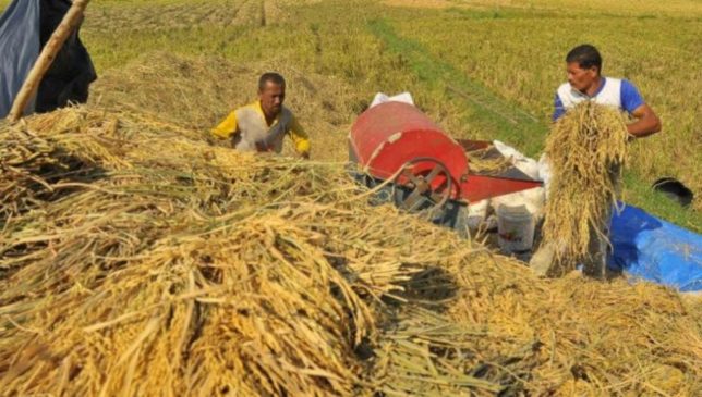 DPRD Konawe Tetapkan Harga Gabah Rp 4. 070 per Kilogram