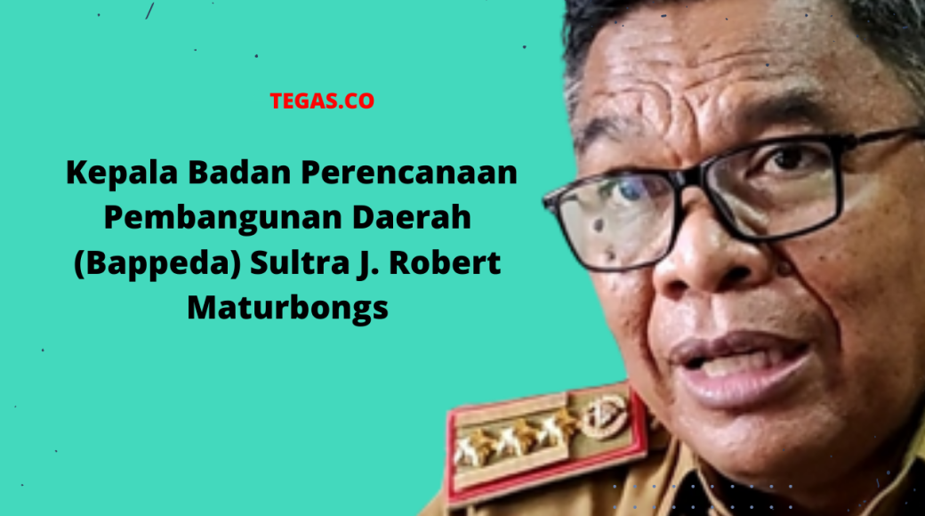 Bappeda Sultra Fasilitasi Rencana Kerja 17 Kabupaten/Kota Tahun 2023