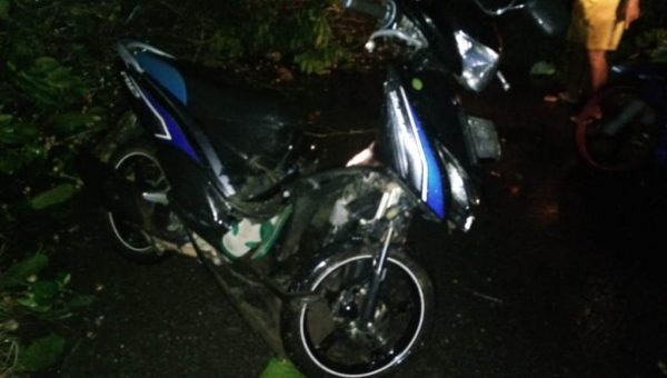 Pohon Langsat Tumbang di Kolaka Utara, Seorang Warga Nyaris Tertimpa﻿