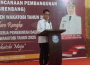 Haliana Dalam Upaya Hadirkan Pesawat